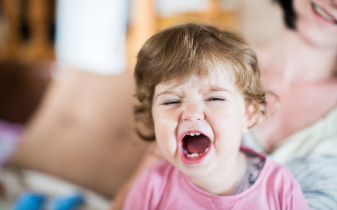 Kannste Kniggen! Kindern Benehmen beibringen