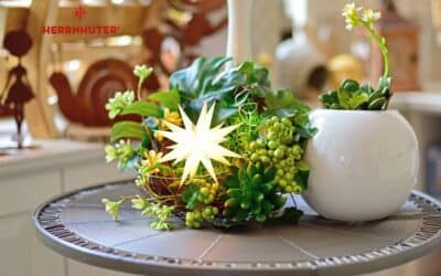 Herrnhuter Sterne in Jena kaufen